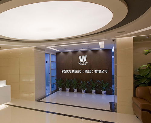 地產品牌策劃 滁州品牌策劃 多年經驗 安徽國禎