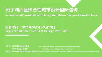 燕子湖片區(qū)國(guó)際咨詢(xún)啟幕 共繪城市新客廳藍(lán)圖